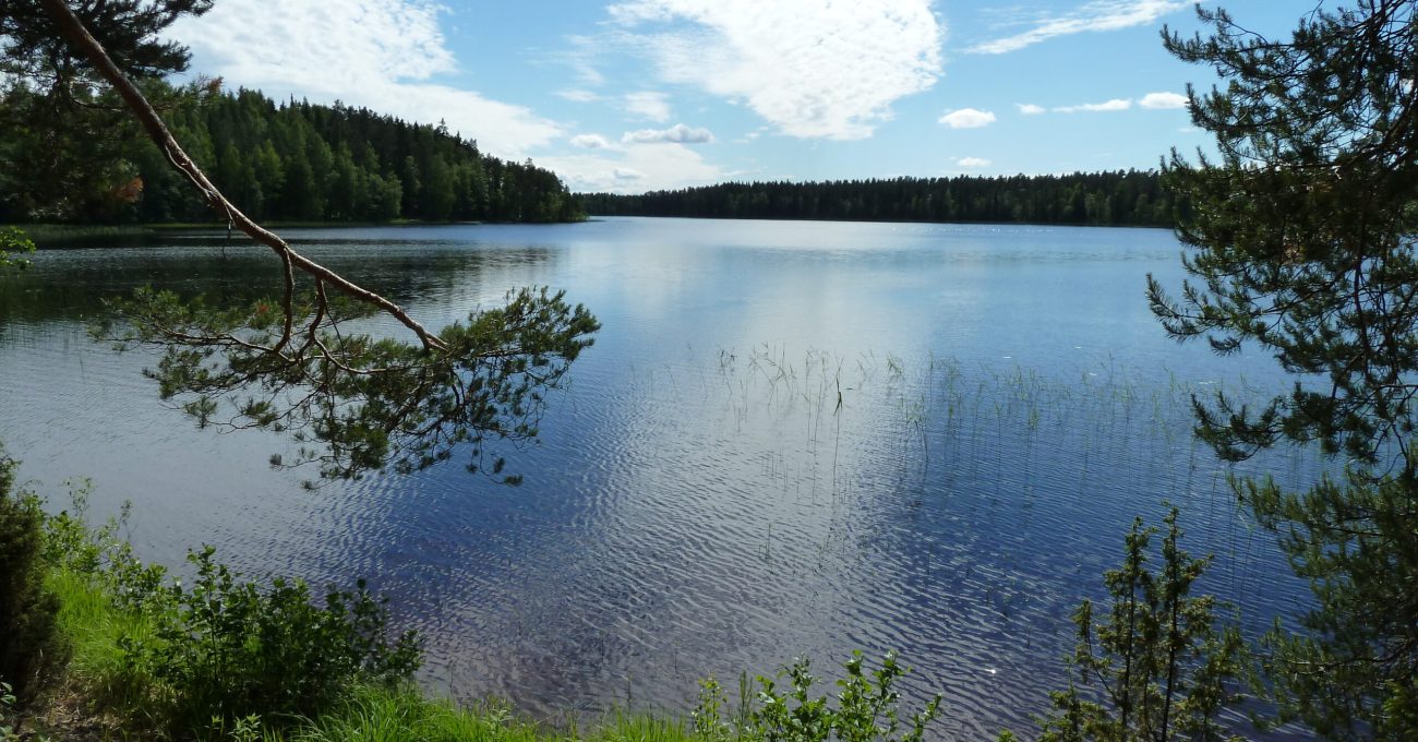 Evo_maisema_P1010461_Kuva_SMHiukkamäki