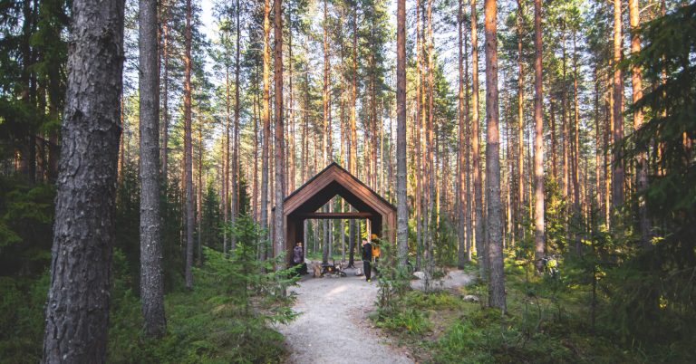 Luontolähettiläät_Kintulammi_Visit_Tampere_Laura_Vanzo