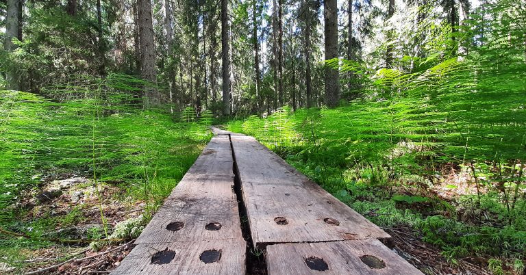 Tampere - Orivesi retkeilyreitti